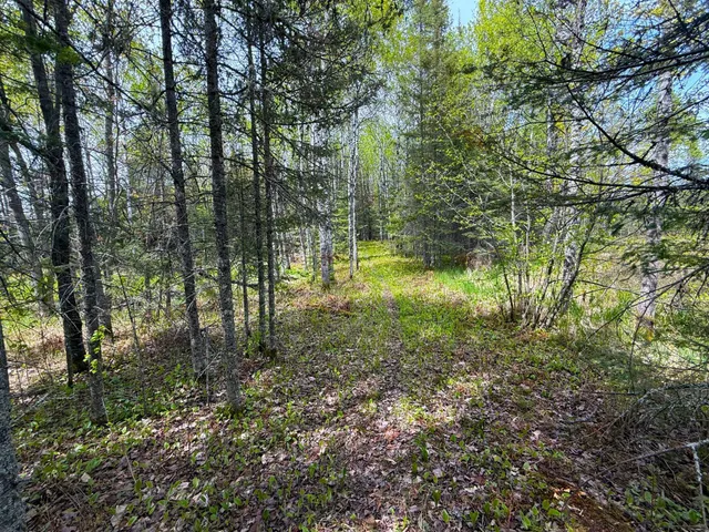 $44,000 | 72-xx East Central Lakes Road, Eveleth, MN 55734