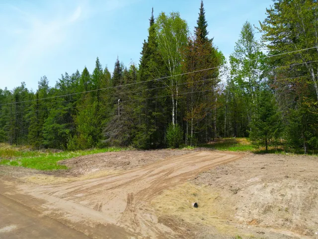 $44,000 | 72-xx East Central Lakes Road, Eveleth, MN 55734