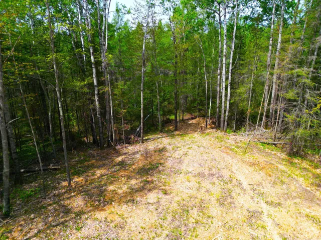 $44,000 | 72-xx East Central Lakes Road, Eveleth, MN 55734