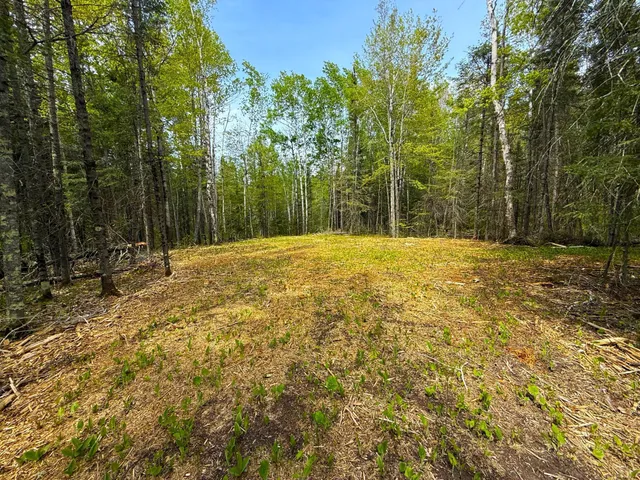 $44,000 | 72-xx East Central Lakes Road, Eveleth, MN 55734