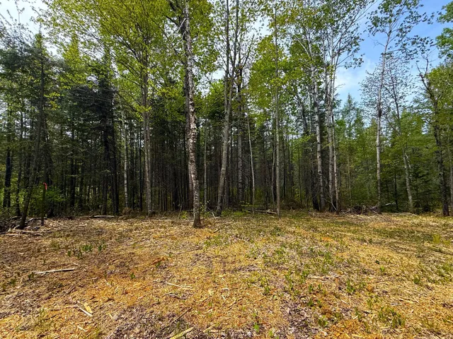 $44,000 | 72-xx East Central Lakes Road, Eveleth, MN 55734