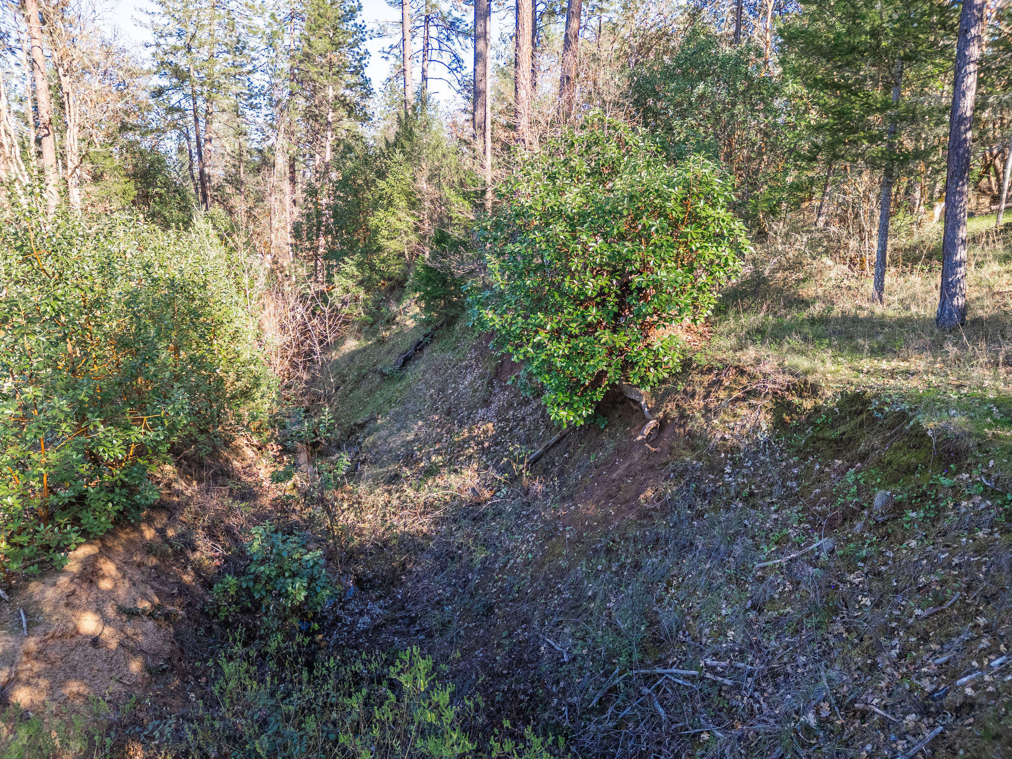 5009 Lane Creek Road, Unit PARCEL 3 Central Point, OR 97502 - Photo 34 of 38