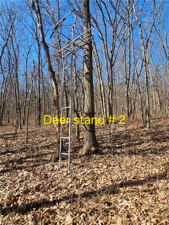 1059 Southwest 1301st Road Holden, MO 64040 - Photo 17 of 48