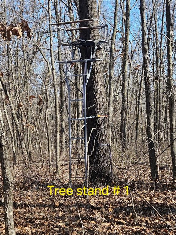 1059 Southwest 1301st Road Holden, MO 64040 - Photo 19 of 48