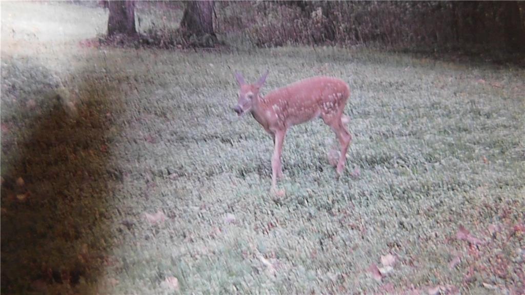 1059 Southwest 1301st Road Holden, MO 64040 - Photo 21 of 48