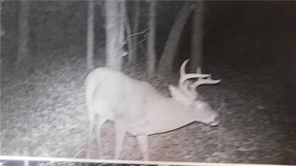 1059 Southwest 1301st Road Holden, MO 64040 - Photo 22 of 48