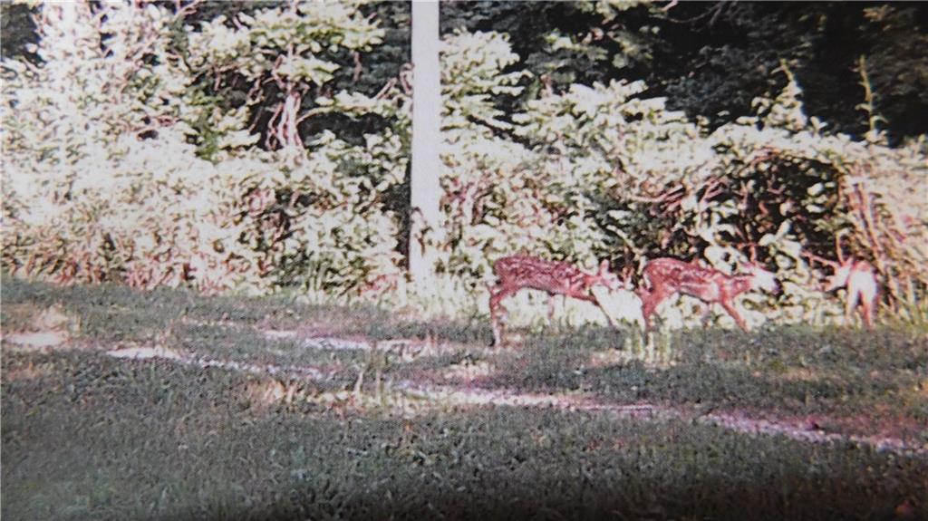 1059 Southwest 1301st Road Holden, MO 64040 - Photo 23 of 48