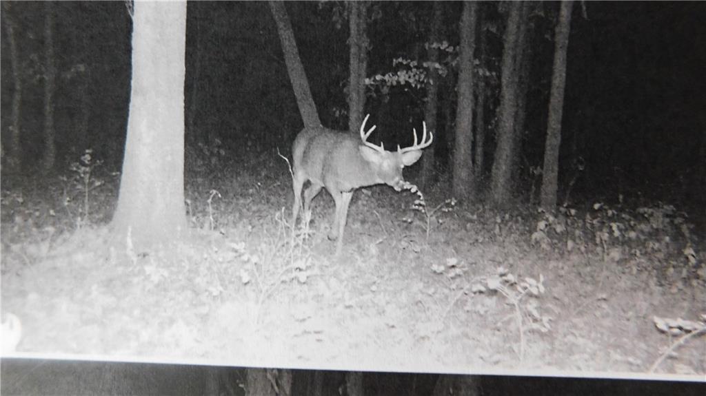 1059 Southwest 1301st Road Holden, MO 64040 - Photo 27 of 48