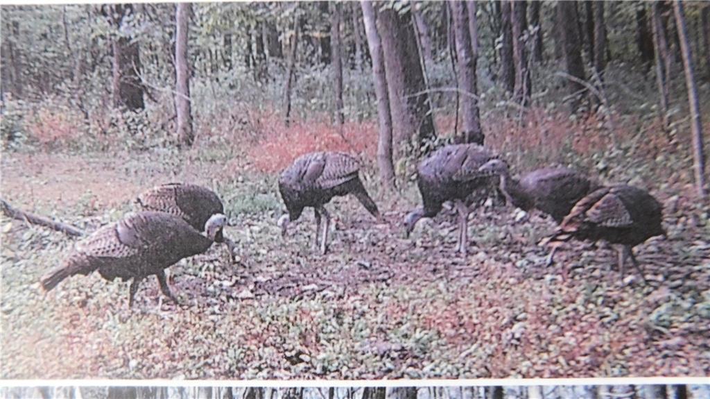 1059 Southwest 1301st Road Holden, MO 64040 - Photo 28 of 48