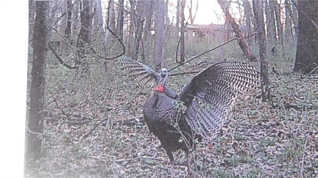 1059 Southwest 1301st Road Holden, MO 64040 - Photo 29 of 48