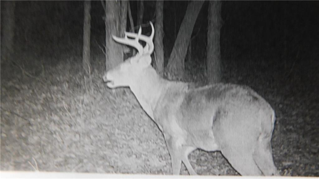 1059 Southwest 1301st Road Holden, MO 64040 - Photo 30 of 48