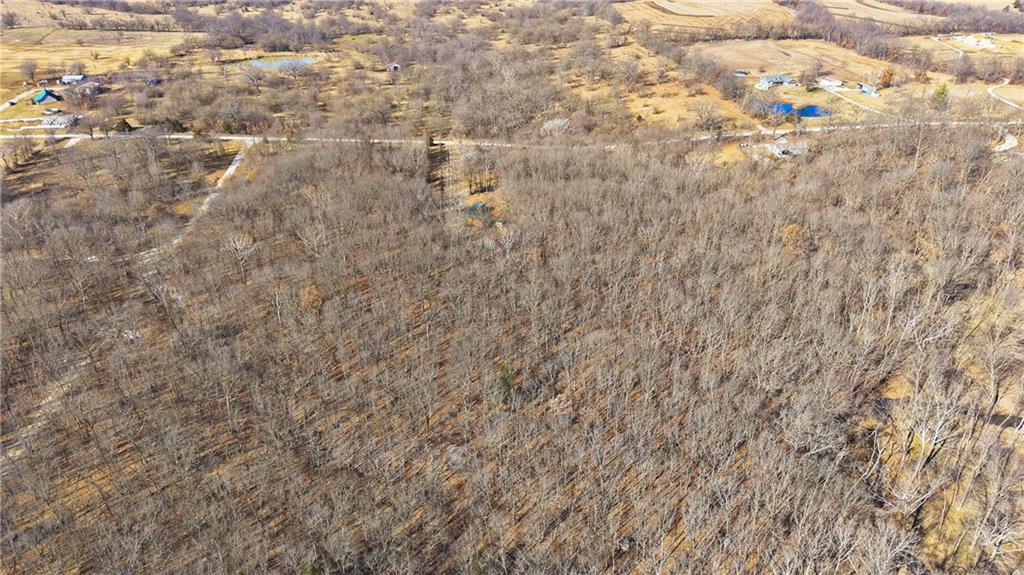 1059 Southwest 1301st Road Holden, MO 64040 - Photo 38 of 48