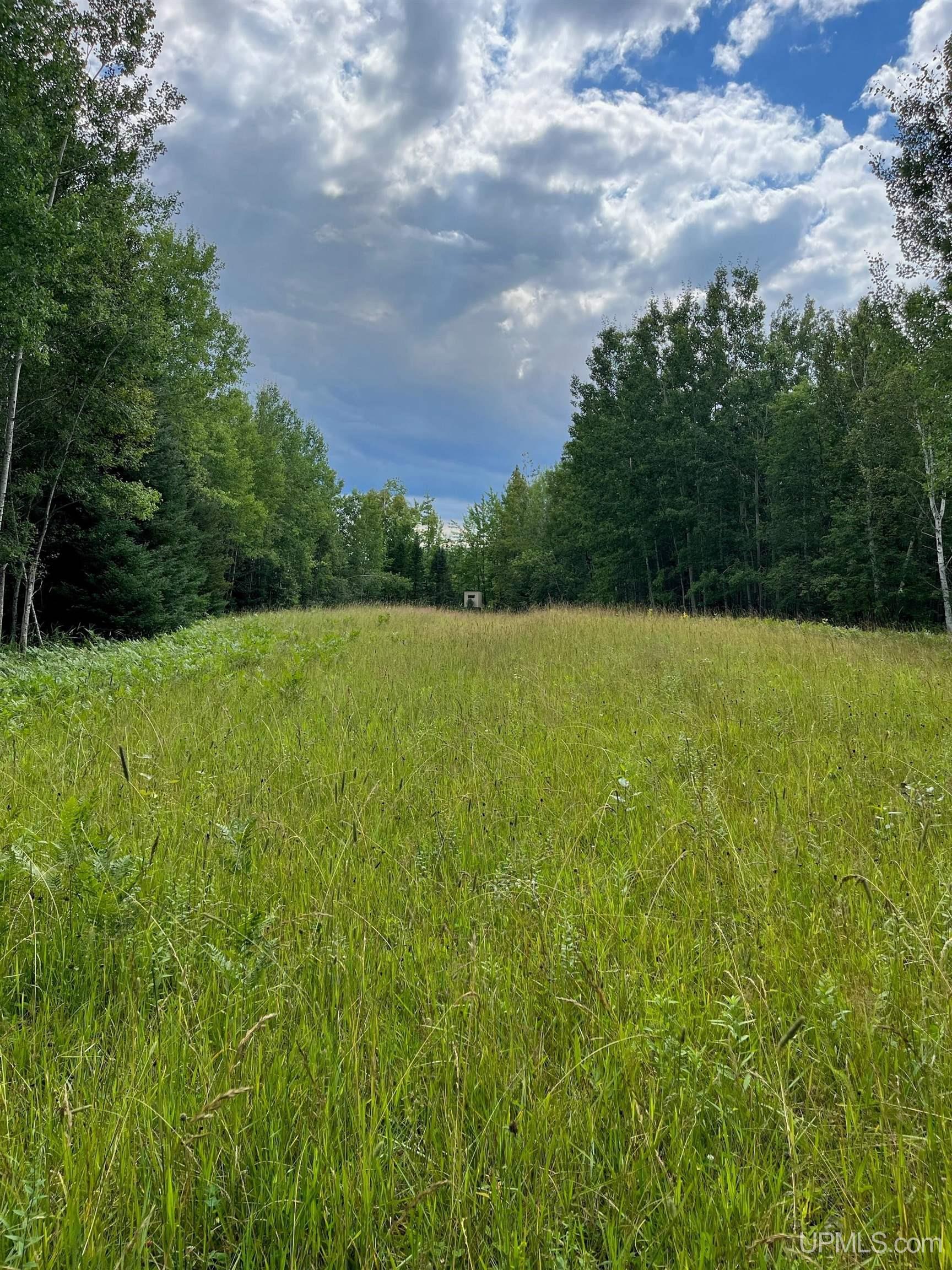 5045 27.5 Road Gladstone, MI 49837 - Photo 5 of 35 Gallery Image 5
