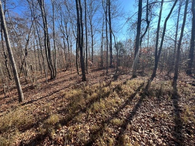 0 Athens Road Delano, TN 37325 - Photo 3 of 10