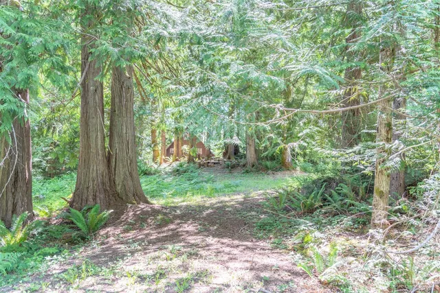 a view of outdoor space and garden