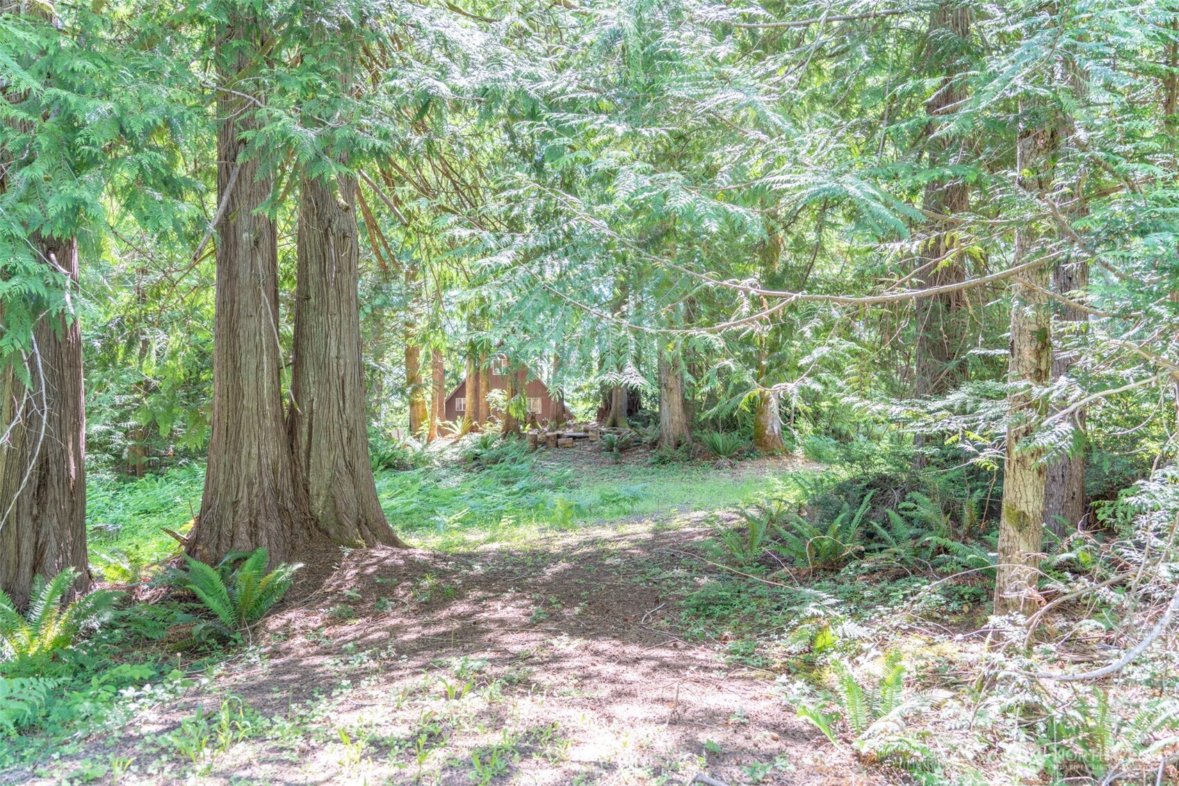 0 Maple Avenue Brinnon, WA 98320 - Photo 1 of 9 a view of outdoor space and garden