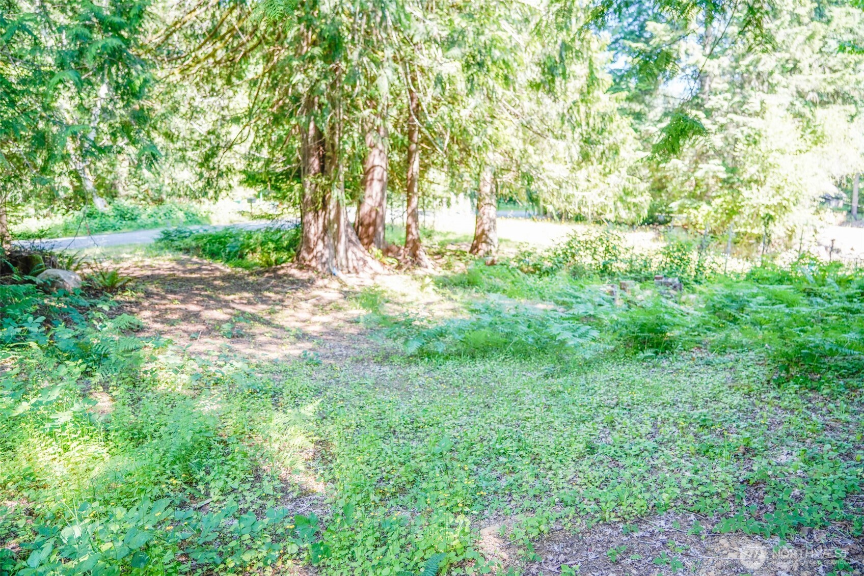 0 Maple Avenue Brinnon, WA 98320 - Photo 2 of 9 a view of yard with green space