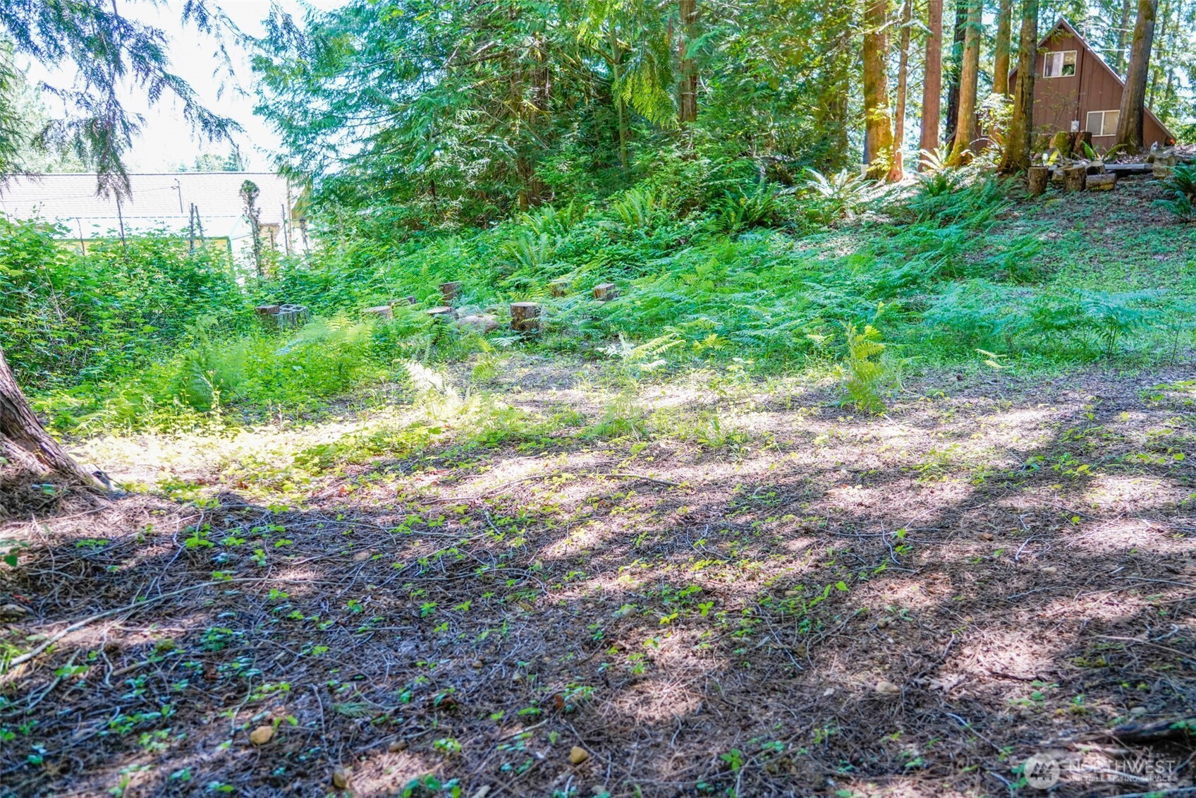 0 Maple Avenue Brinnon, WA 98320 - Photo 4 of 9 a view of yard with green space