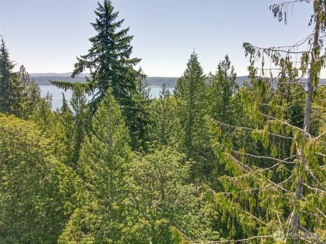 a view of lake and mountain