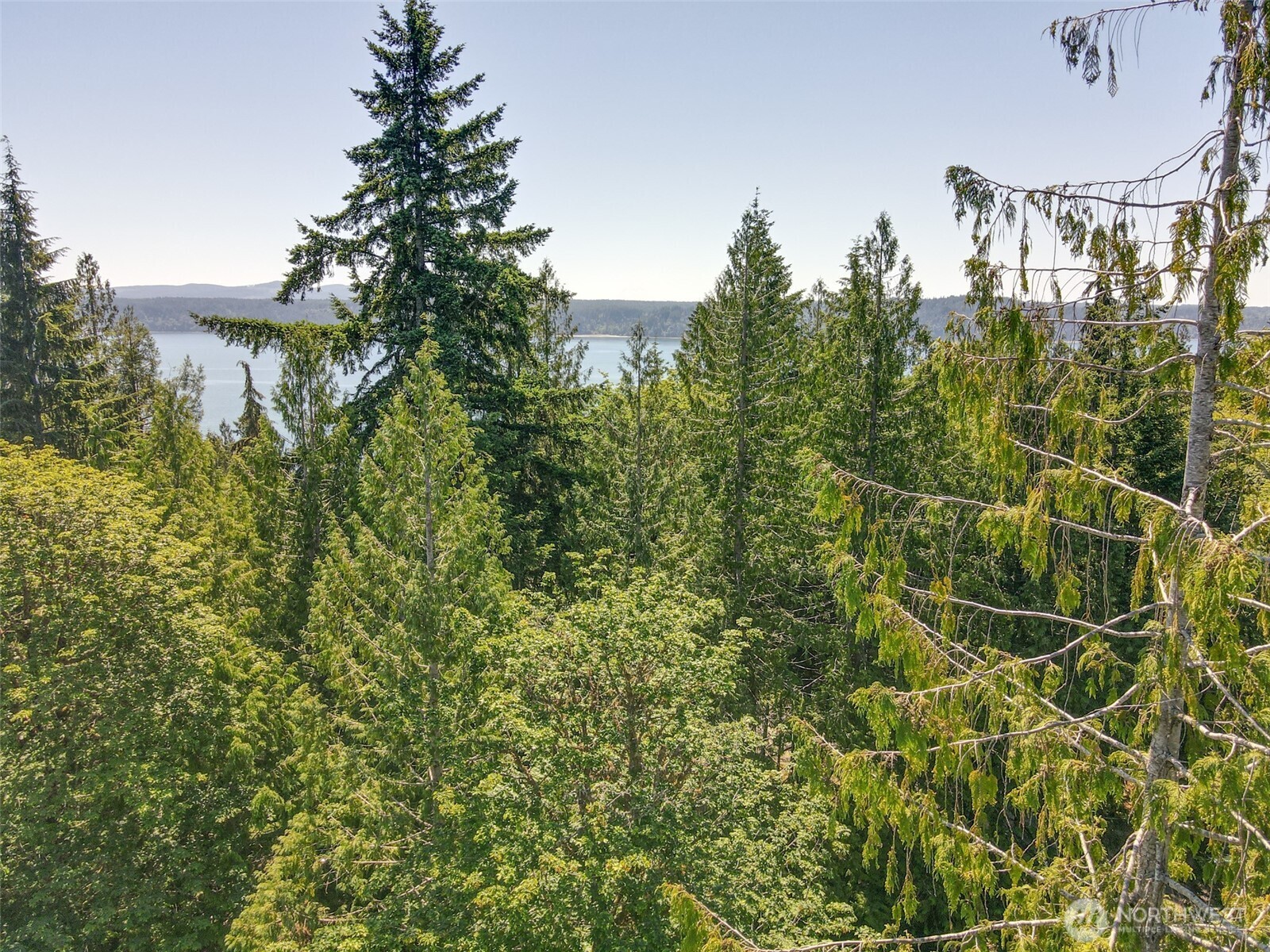 0 Maple Avenue Brinnon, WA 98320 - Photo 5 of 9