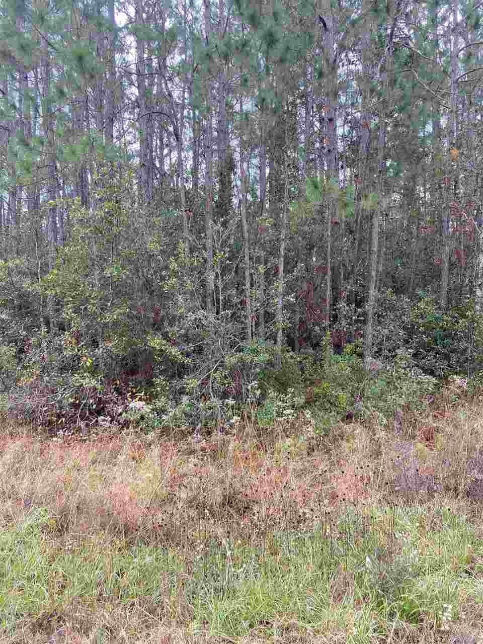 6553 Bluefish Road Navarre, FL 32566 - Photo 1 of 11 Gallery Image 1