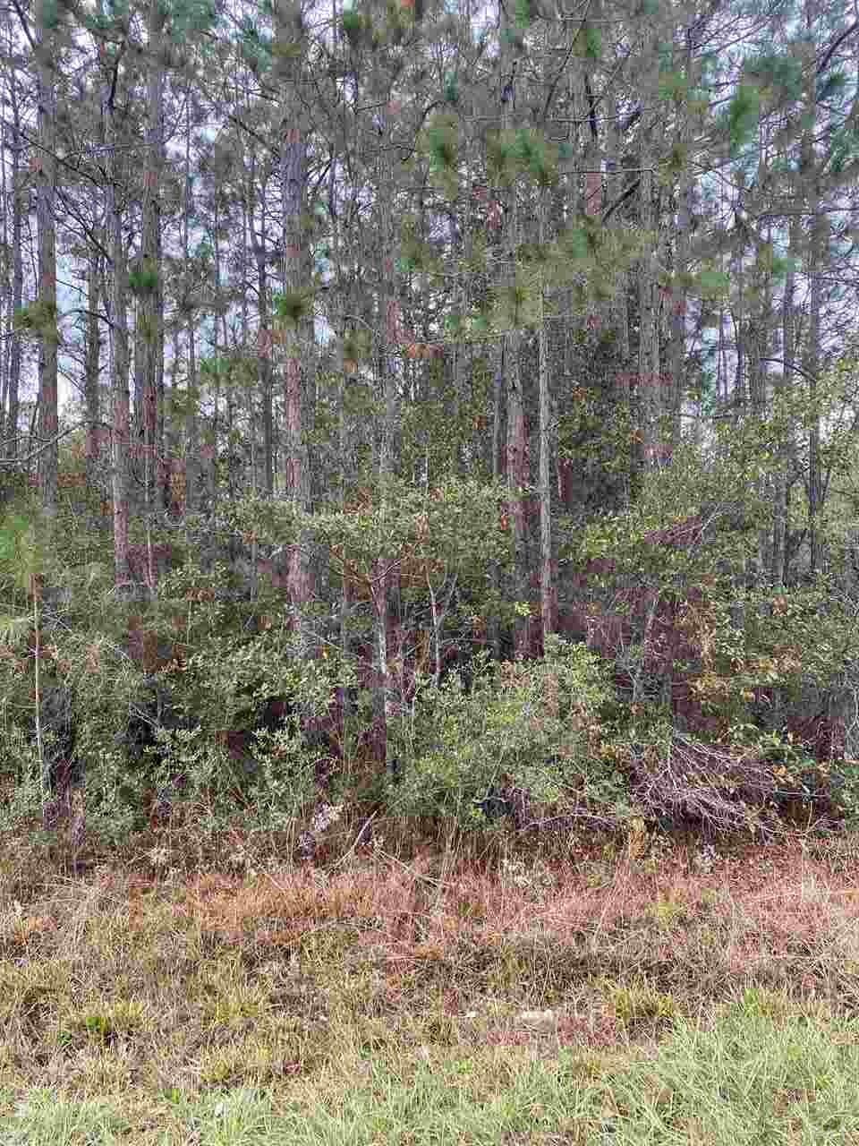 6553 Bluefish Road Navarre, FL 32566 - Photo 4 of 11 Gallery Image 4