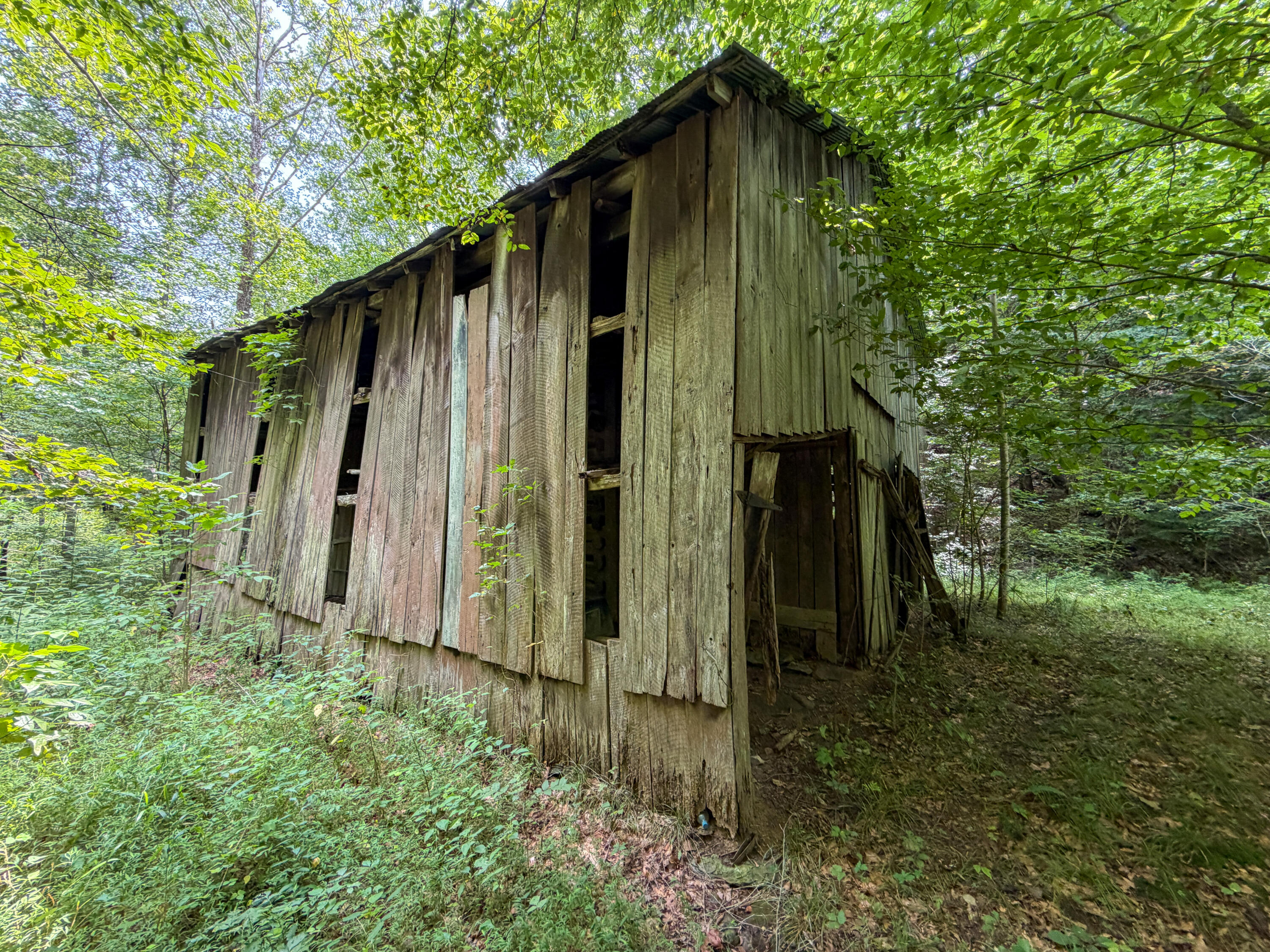 2045 Teges Creek Road Manchester, KY 40962 - Photo 56 of 78 LightroomRealEstateEdits-54