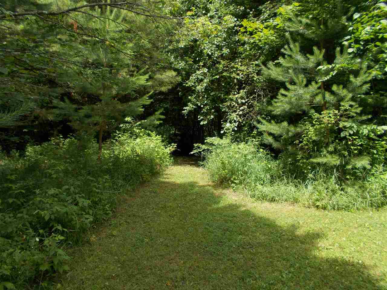 1581 Towerline Road Hale, MI 48739 - Photo 26 of 55 1889668-25.JPG