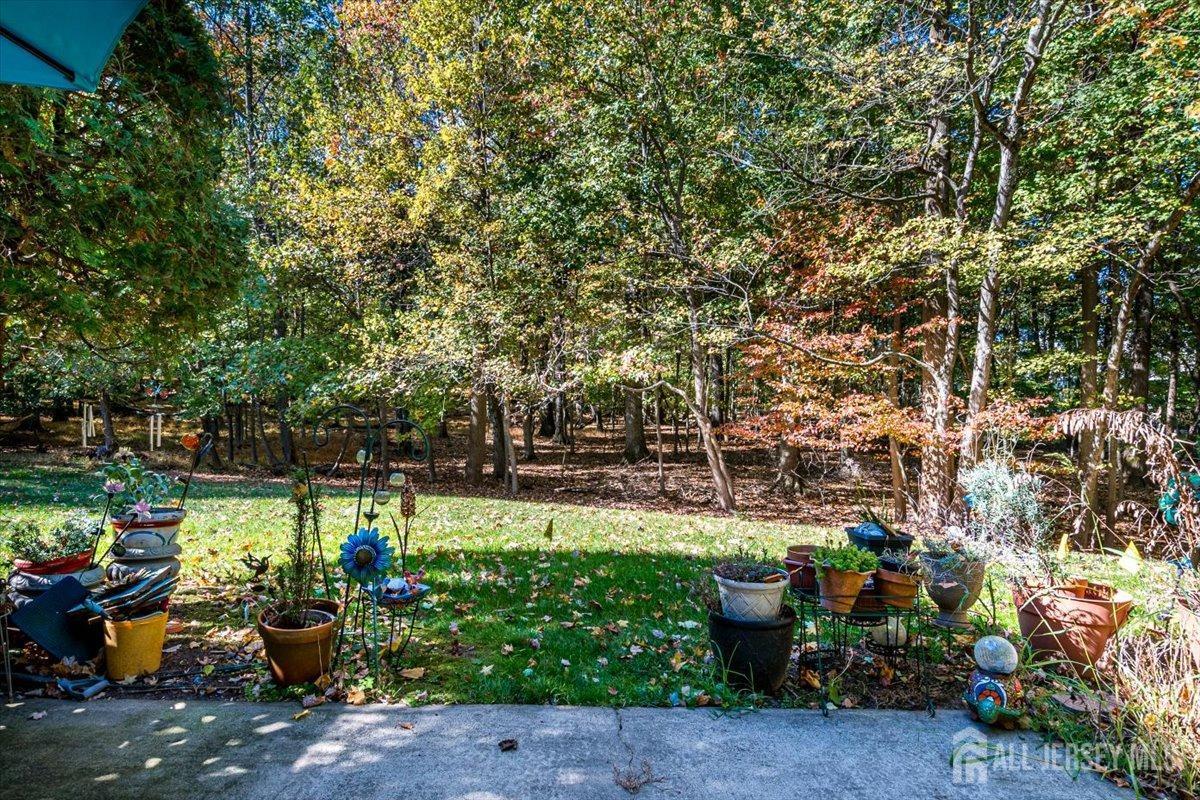 3405 Springbrook Drive Edison, NJ 08820 - Photo 45 of 54