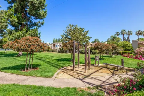 a view of a park with plants and large trees