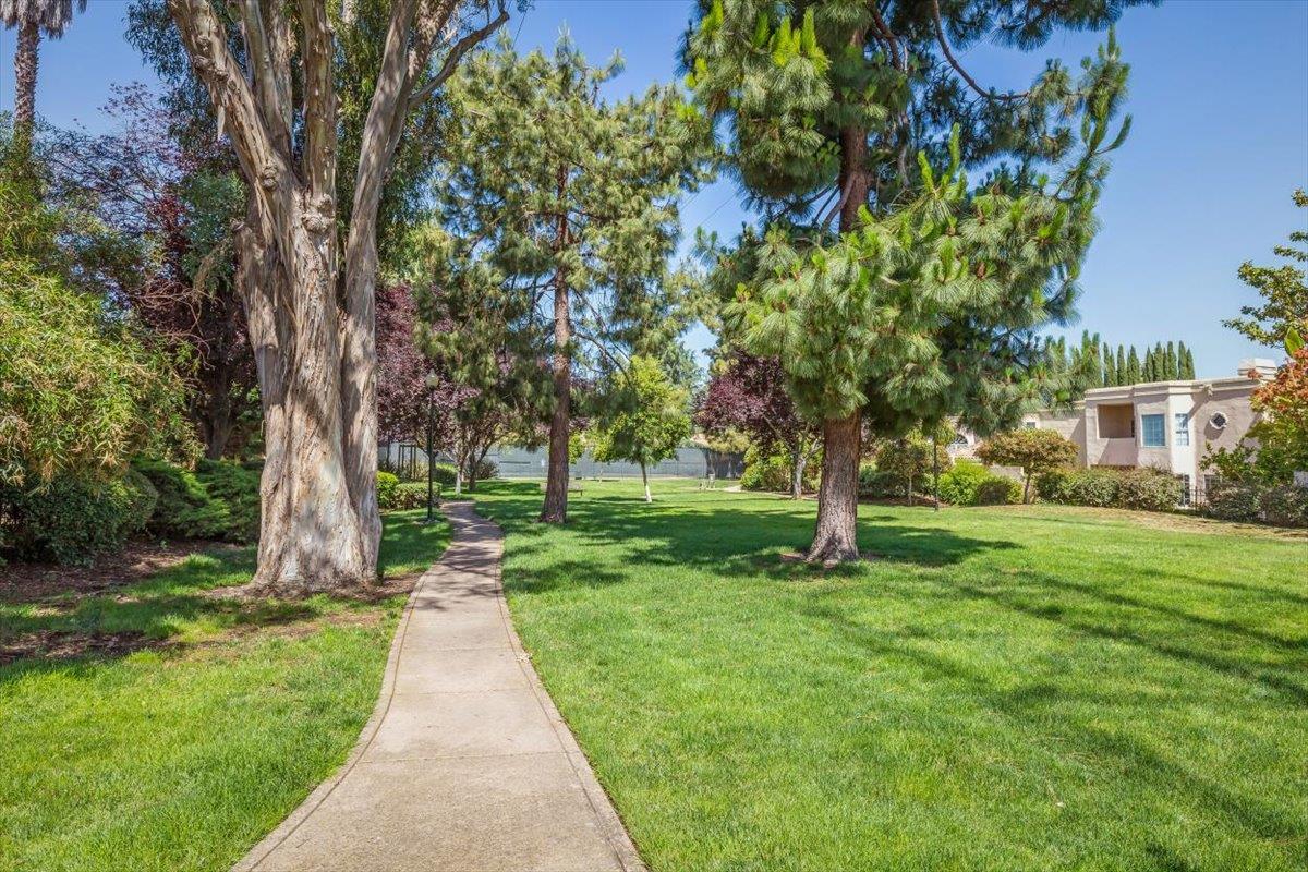 1190 Maria Privada Mountain View, CA 94040 - Photo 44 of 49