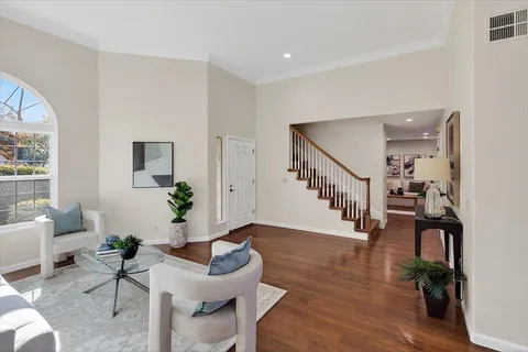 a living room with furniture and a potted plant
