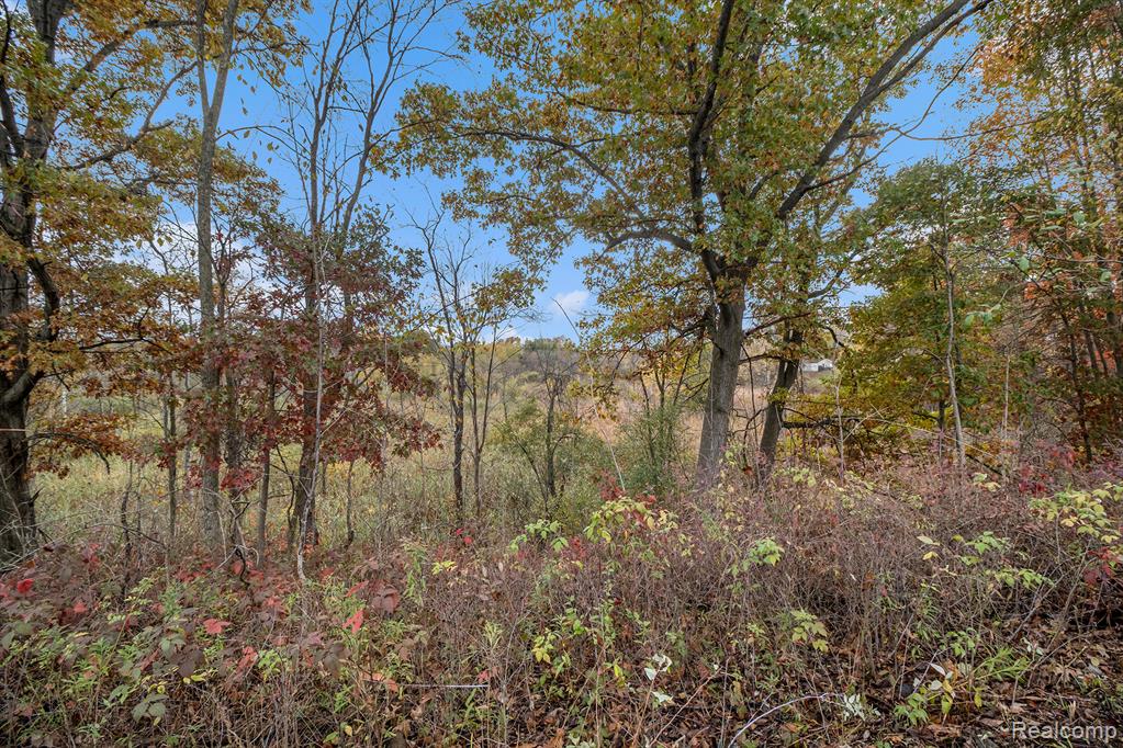 0 Markland Road Holly, MI 48442 - Photo 10 of 12