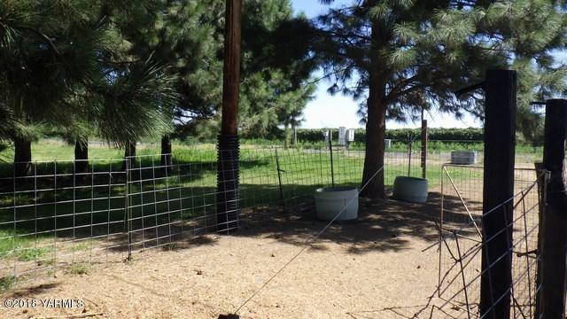 23002 North Wilgus Road Prosser, WA 99350 - Photo 31 of 33 Wilgus rd 077