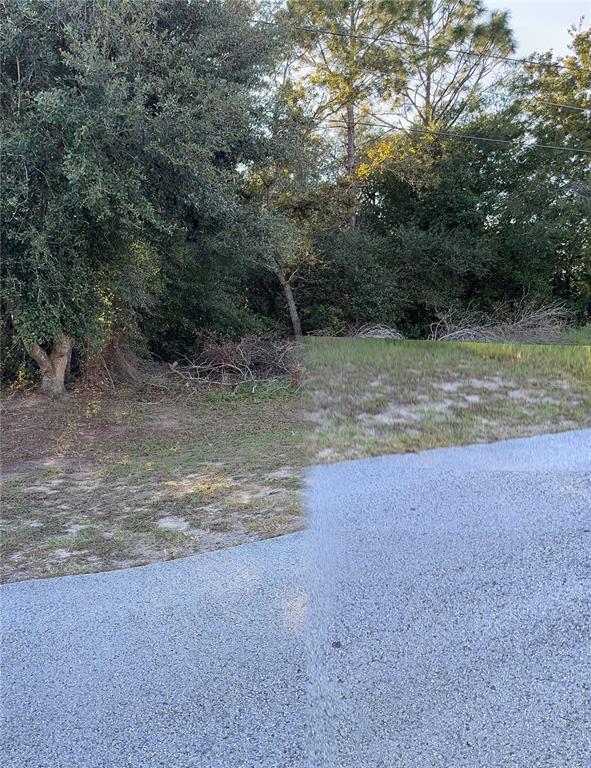 Tbd Hemlock Road Ocala, FL 34472 - Photo 1 of 1