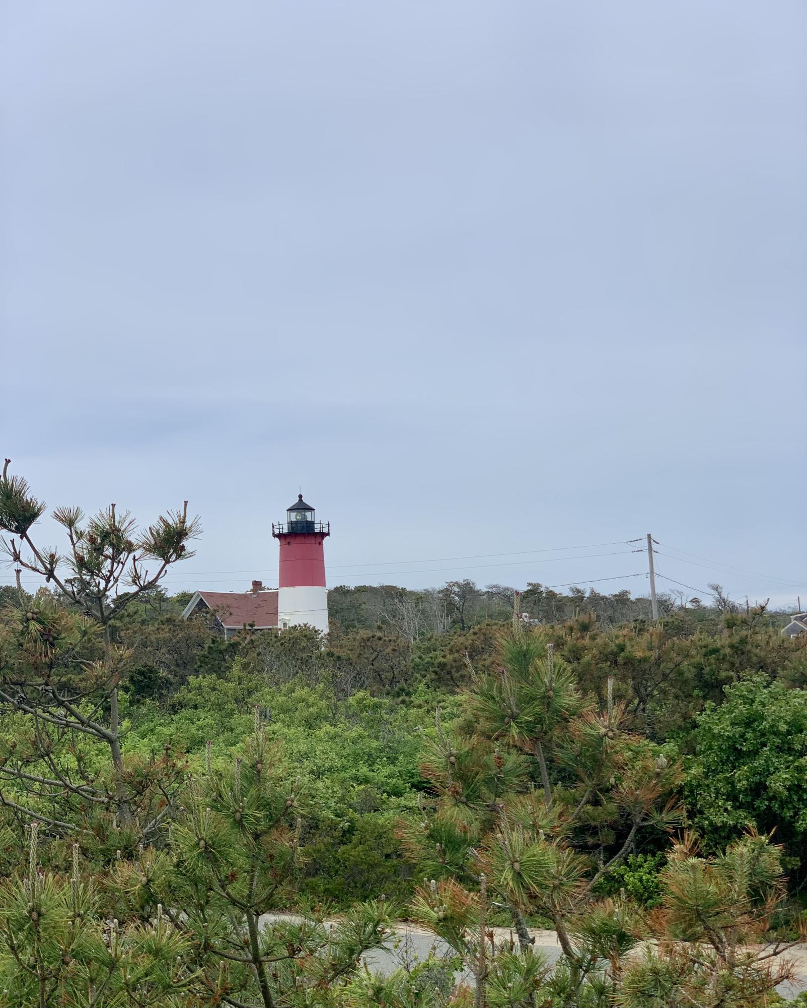 115 Viola Road Eastham, MA 02642 - Photo 40 of 42 Nauset Light is closely