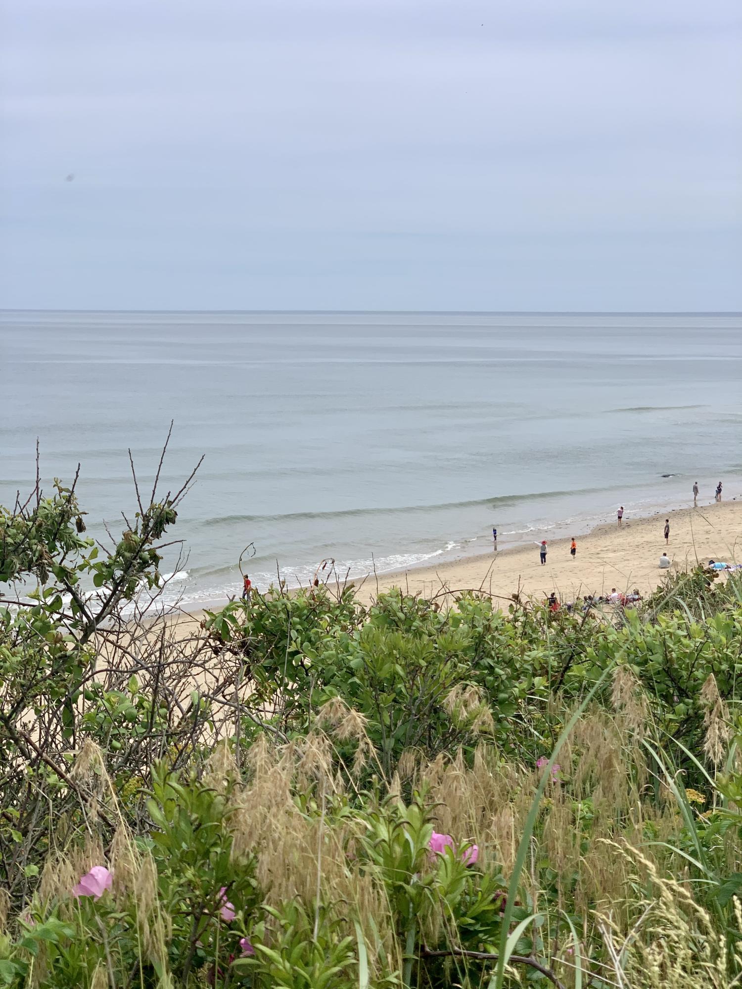 115 Viola Road Eastham, MA 02642 - Photo 42 of 42 Nauset Light Beach 6.1.21