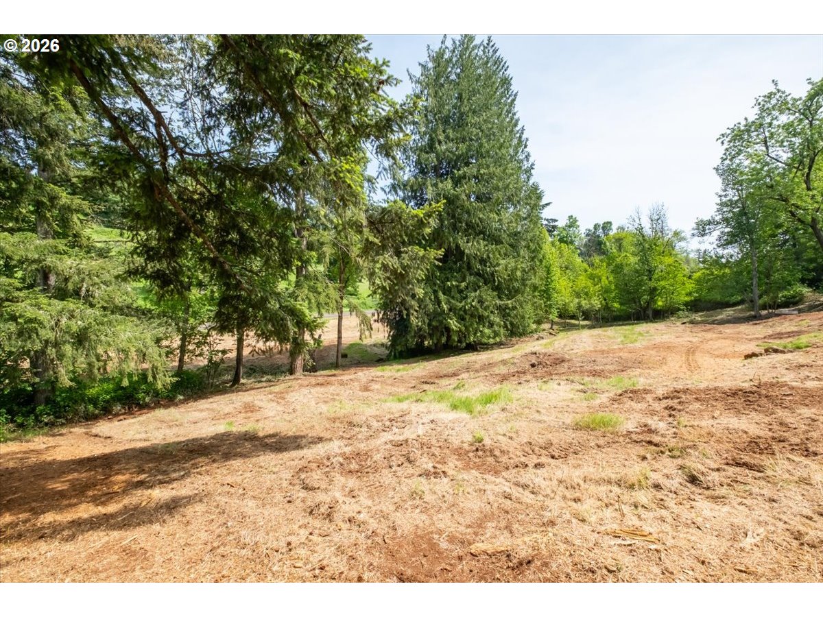 3835 Edison Road Northeast Silverton, OR 97381 - Photo 7 of 39