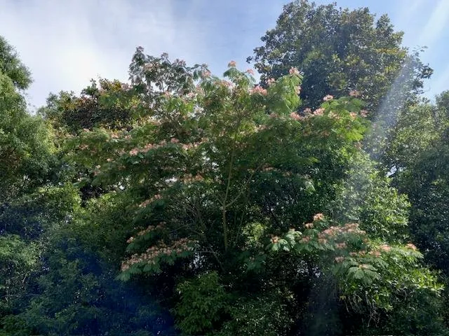 $199,900 | 12610 Northwest Virginia G Weaver Street, Bristol, FL 32321