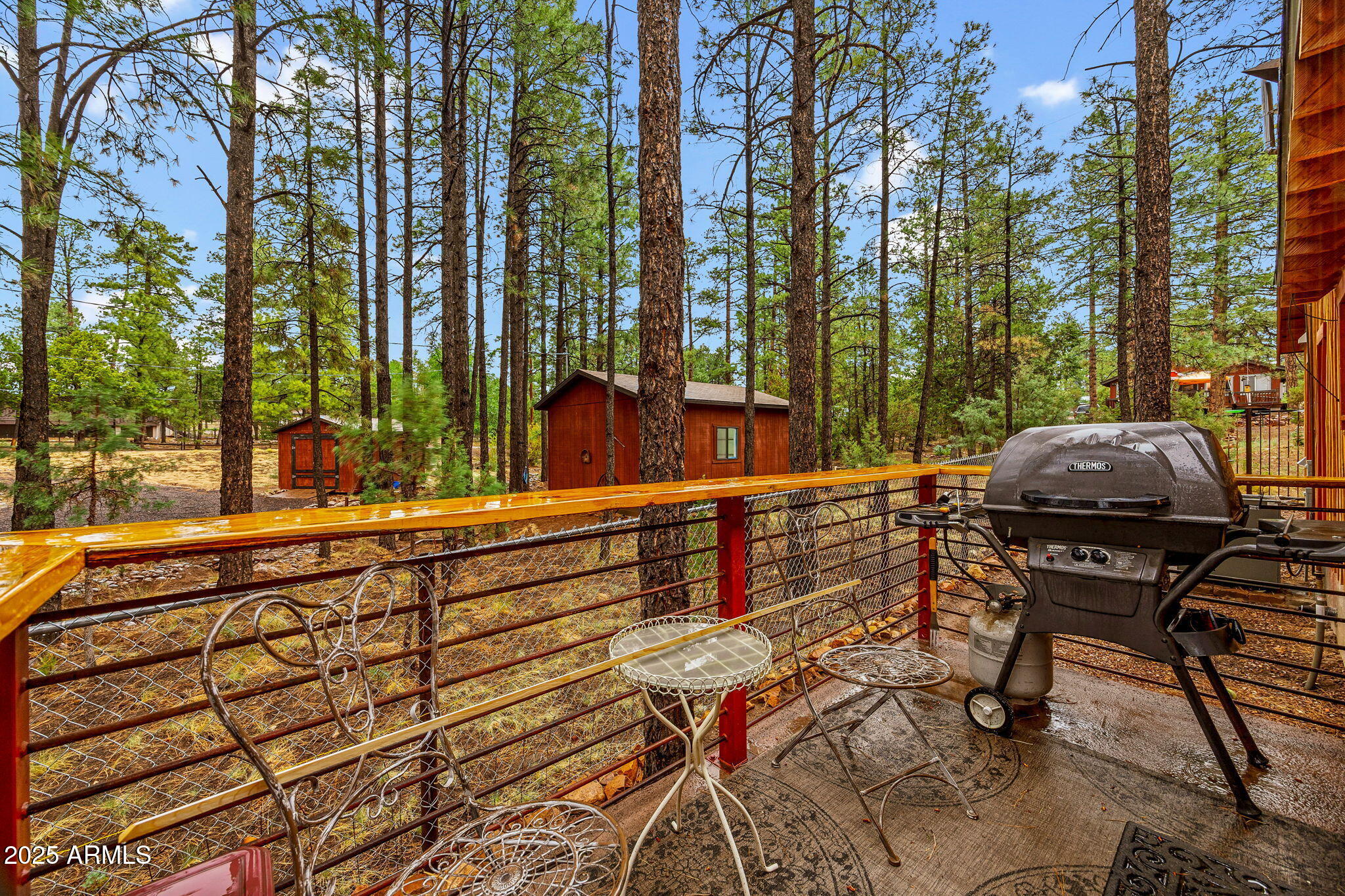 2891 Antelope Trail Overgaard, AZ 85933 - Photo 24 of 40 SIDE PATIO