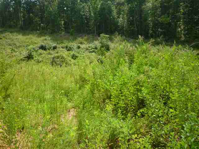 208 Edgewood Road Easley, SC 29642 - Photo 9 of 10 Gallery Image 9