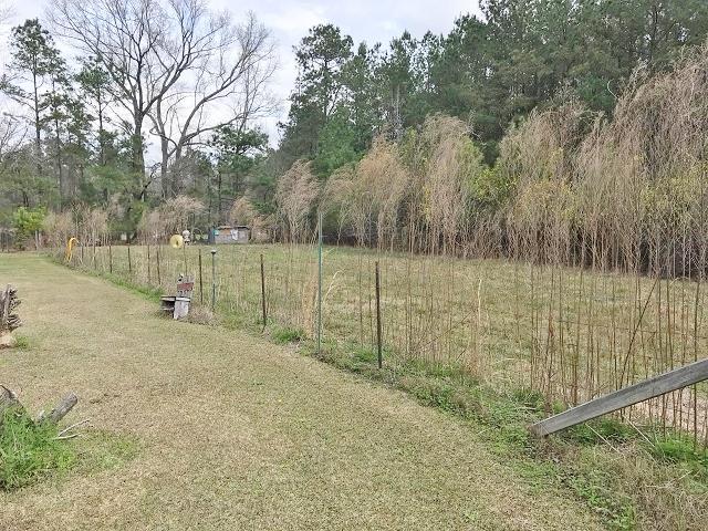 172 Campbell Road Ridgeville, SC 29472 - Photo 21 of 37 172 Campbell Rd (4)