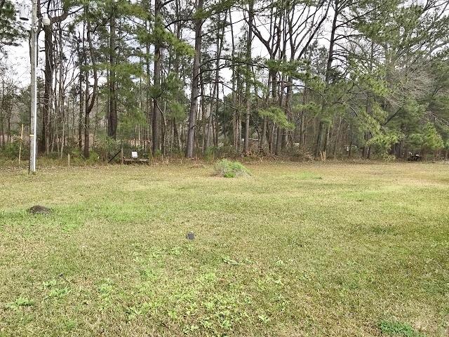 172 Campbell Road Ridgeville, SC 29472 - Photo 24 of 37 172 Campbell Rd (50)