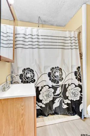 a bathroom with a sink a toilet and a mirror