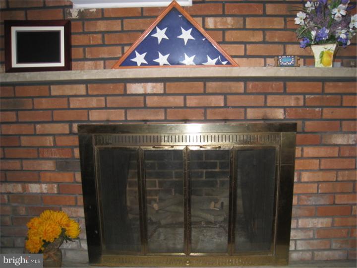 129 East Rutherford Drive Newark, DE 19713 - Photo 16 of 25 Fireplace