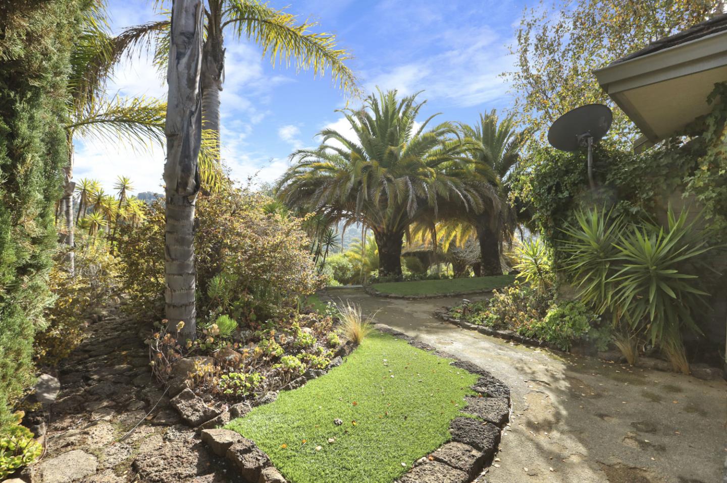 3571 Star Ridge Road Hayward, CA 94542 - Photo 48 of 66 a view of a yard with palm trees