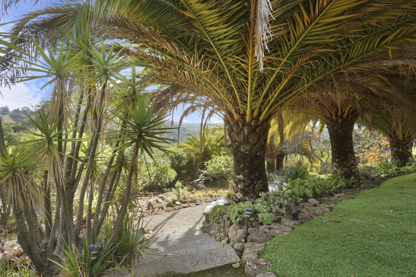 3571 Star Ridge Road Hayward, CA 94542 - Photo 57 of 66