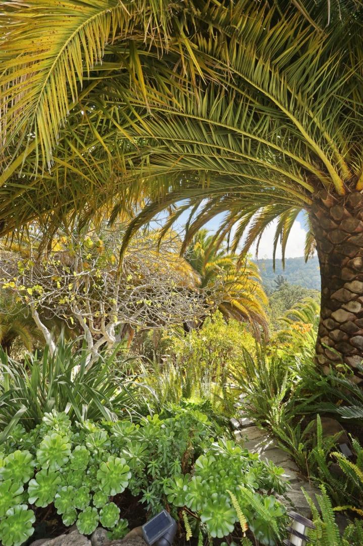 3571 Star Ridge Road Hayward, CA 94542 - Photo 60 of 66