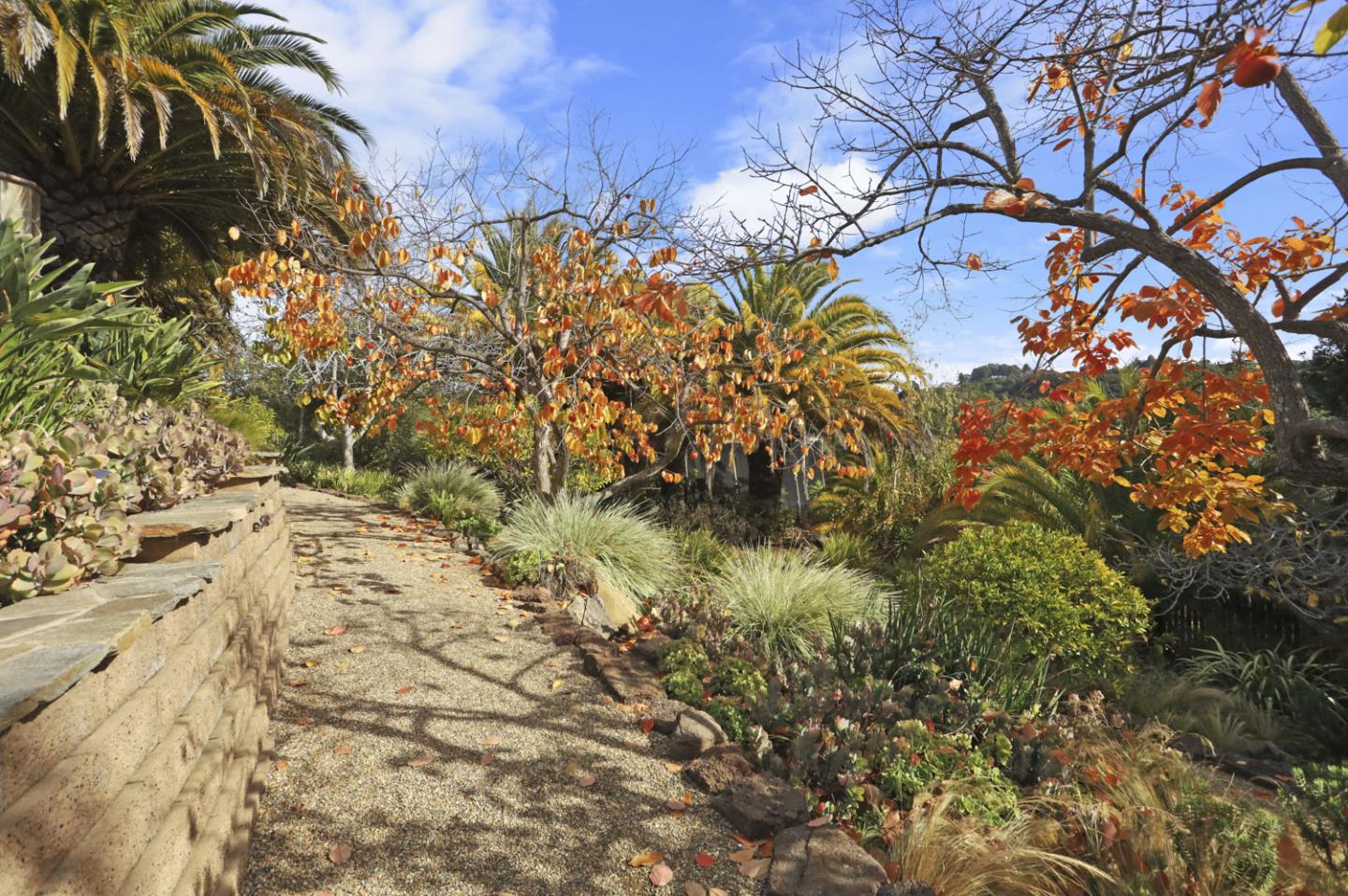 3571 Star Ridge Road Hayward, CA 94542 - Photo 61 of 66 a view of a yard with a tree