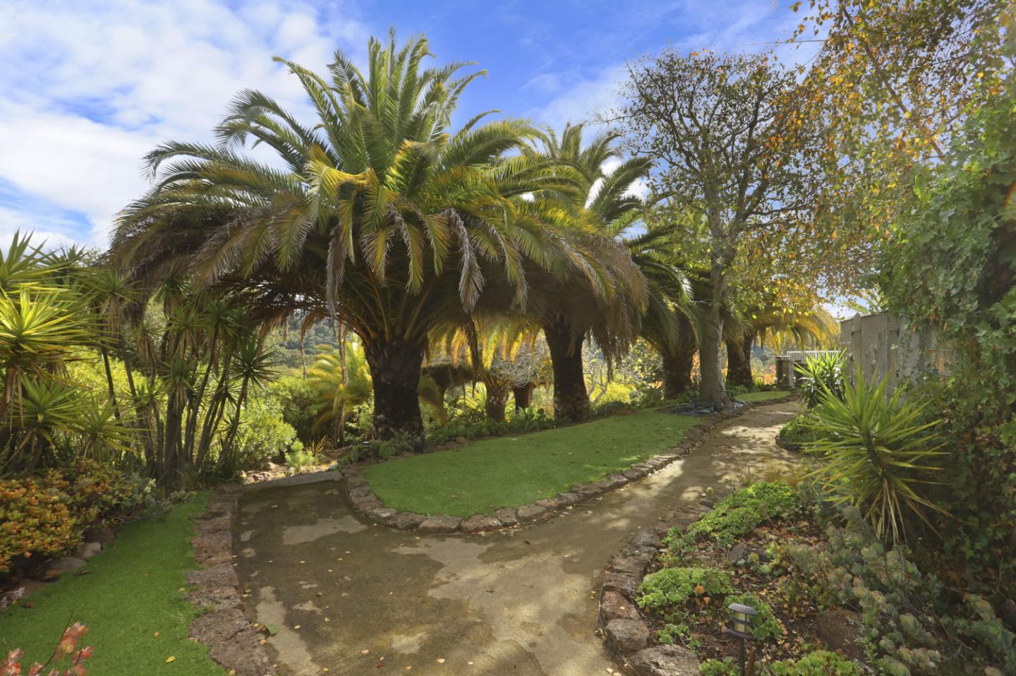 3571 Star Ridge Road Hayward, CA 94542 - Photo 62 of 66 a view of a yard with trees